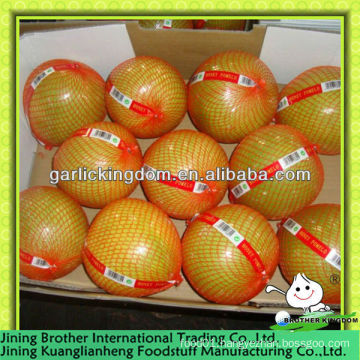 2013 new crop honey pomelo